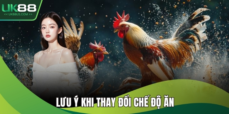 Cách Chăm Gà Chọi Hiệu Quả Và Chuẩn Nhất Từ A Đến Z 5 Lưu ý khi thay đổi chế độ ăn