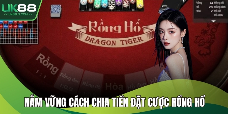 Nắm vững cách chia tiền đặt cược rồng hổ
