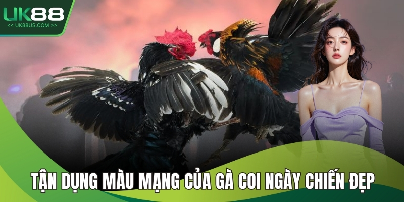 Tận dụng màu mạng của gà coi ngày chiến đẹp