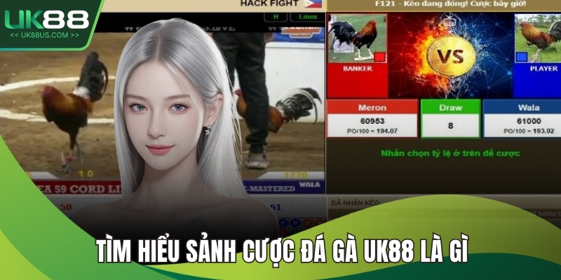 Tìm hiểu sảnh cược đá gà UK88 là gì
